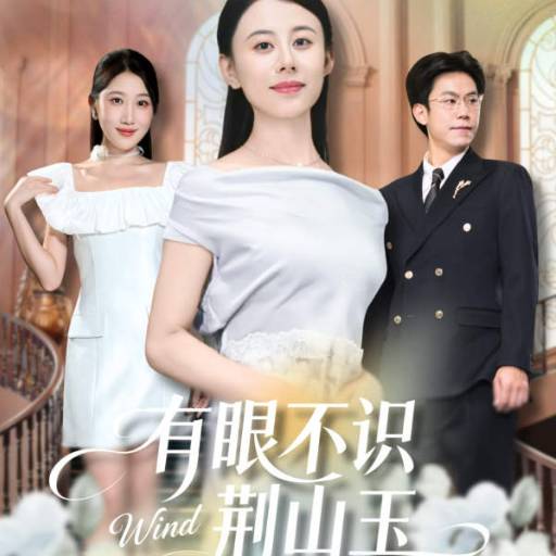 有眼不识荆山玉