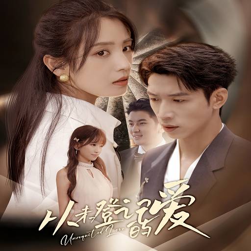 从未登记的爱_全集在线