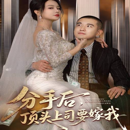 分手后顶头上司要嫁我