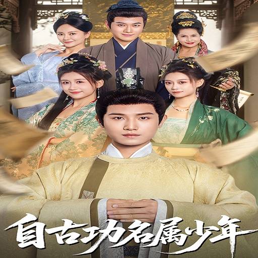 自古功名属少年_全集在线