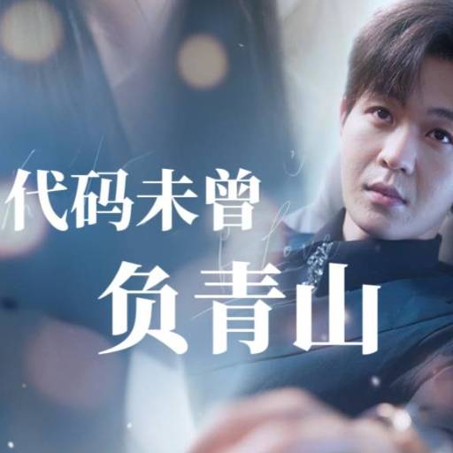 代码未曾负青山