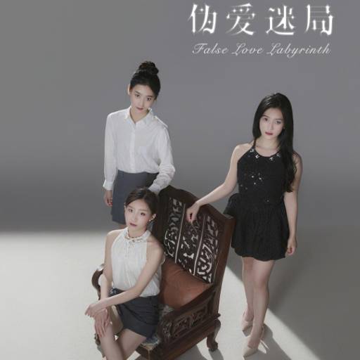 伪爱迷局