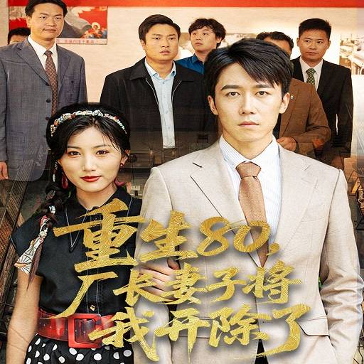 重生八零：厂长妻子将我开除