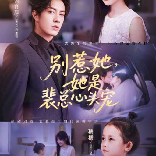 别惹她，她是裴总心头宠