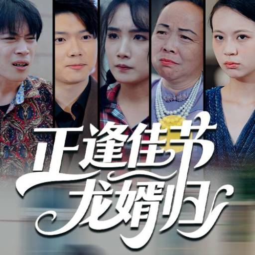 正逢佳节龙婿归