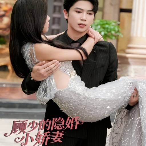 顾总的隐婚小娇妻