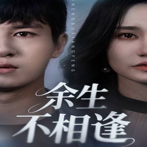 余生不相逢