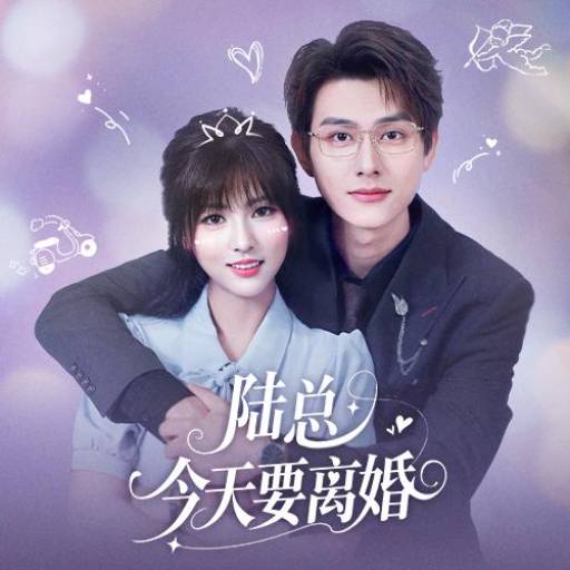 陆总今天要离婚