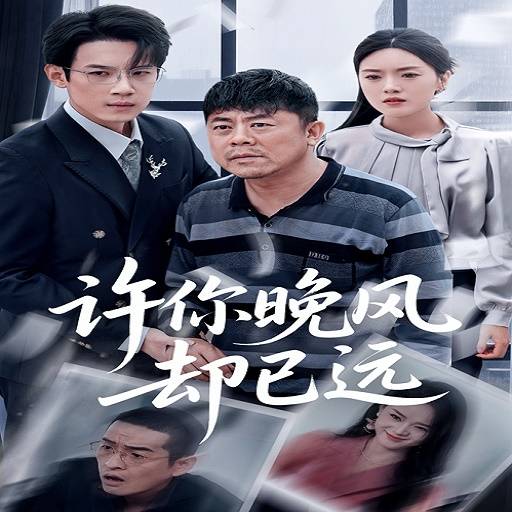 许你晚风却已远_免费观看