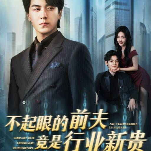 不起眼的前夫竟是行业新贵