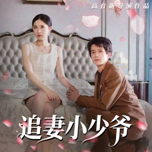 追妻小少爷