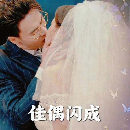 佳偶闪成_番外彩蛋