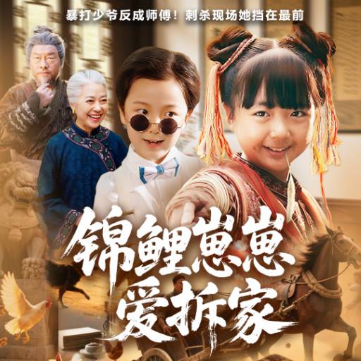 锦鲤崽崽爱拆家