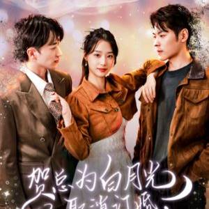 贺总为白月光取消订婚，我不嫁了