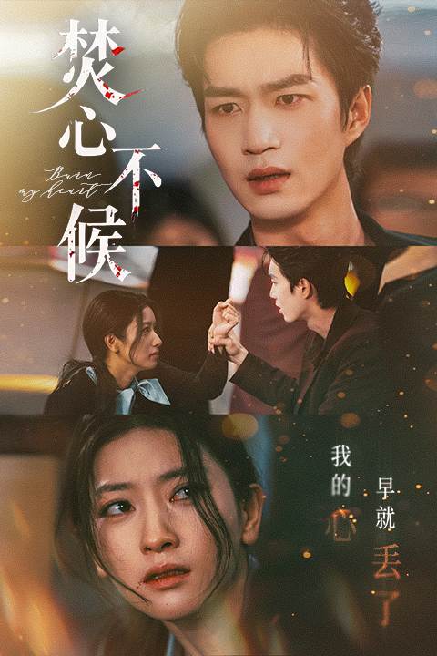 焚心不候_精彩短剧