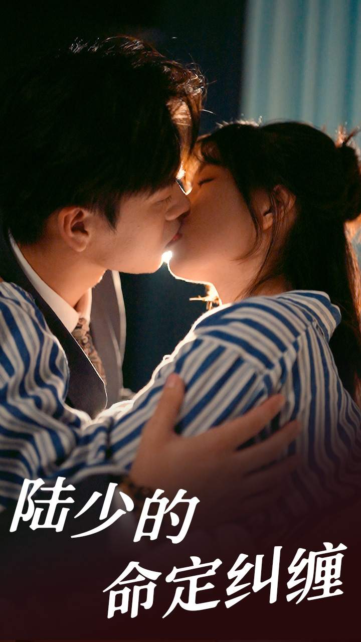陆少的命定纠缠