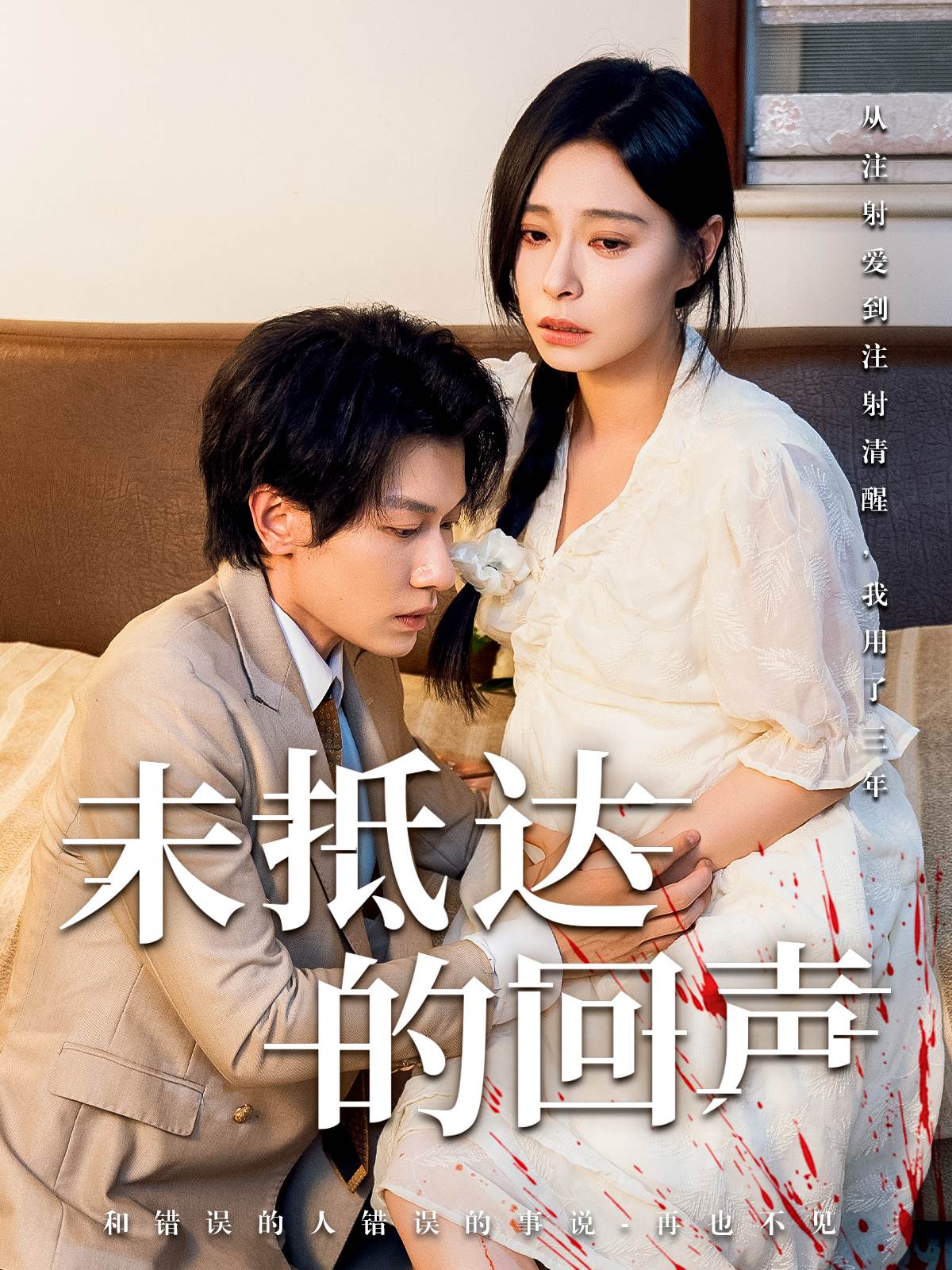 未抵达的回声_免费观看